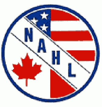 north american hockey league 1975-1992 primary logo iron on heat transfer...